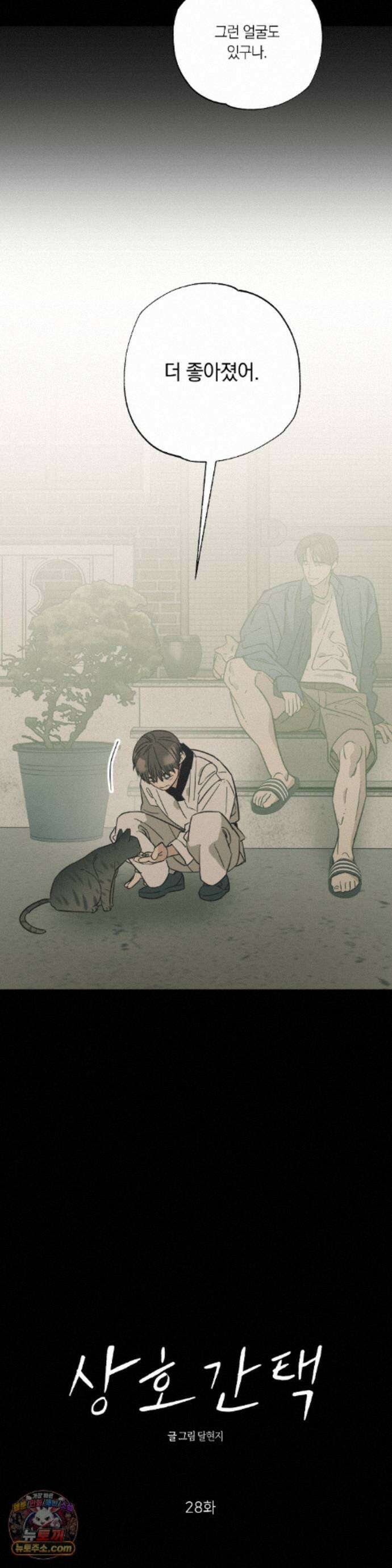 상호간택 28화 9