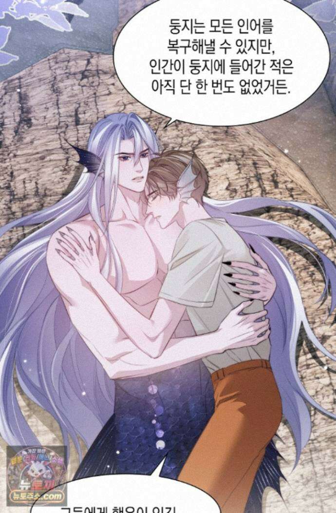 다니엘의 인어 142화 37
