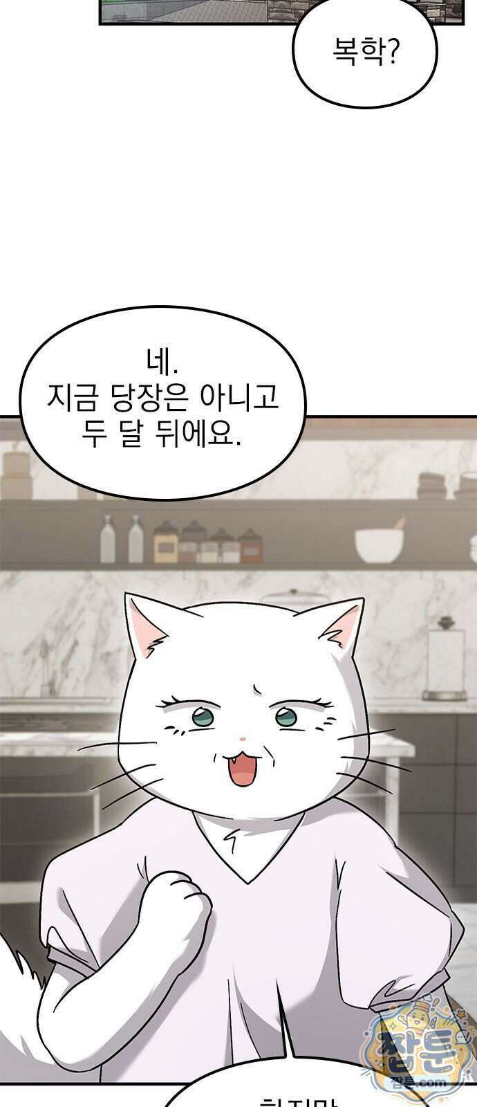 세상 사람들이 모두가 고양이라면 12화 2