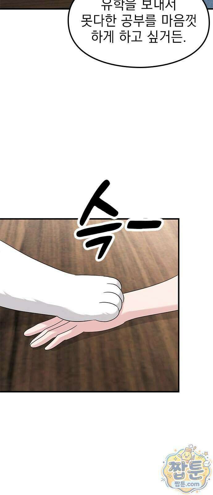 세상 사람들이 모두가 고양이라면 12화 16