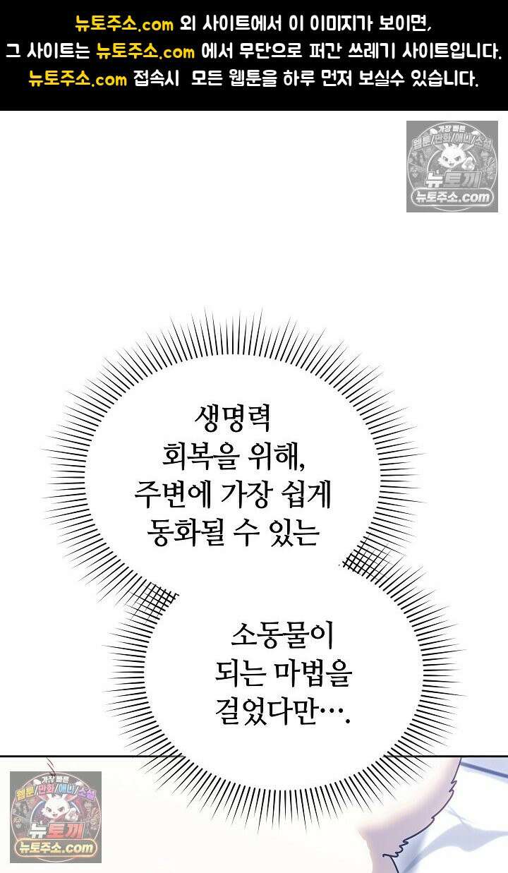 내 반려동물이 악당이 되었을 때 5화 1