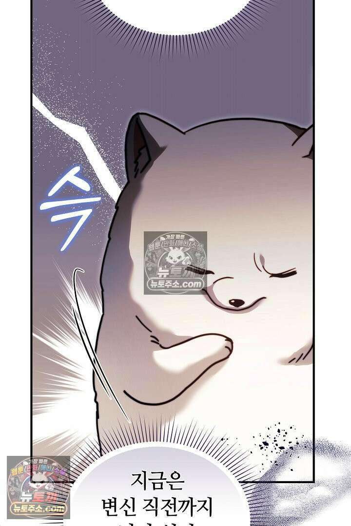 내 반려동물이 악당이 되었을 때 5화 15
