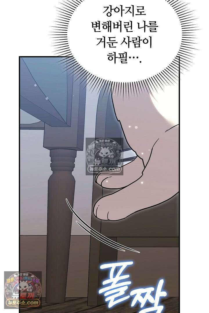 내 반려동물이 악당이 되었을 때 5화 41