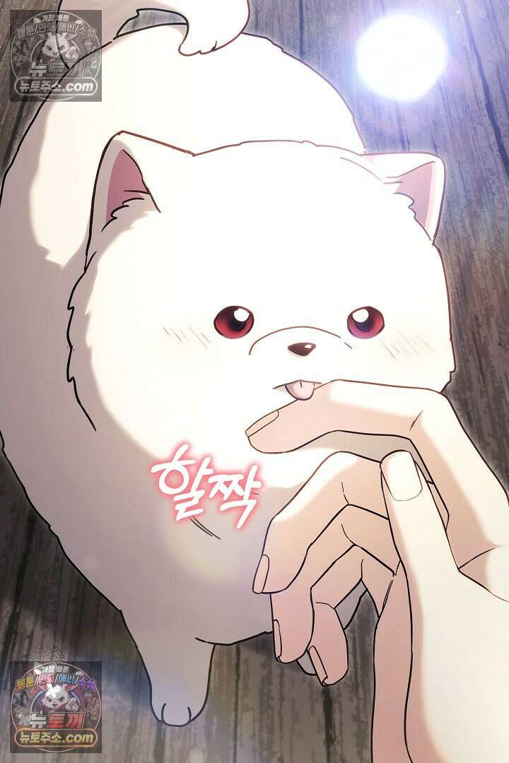 내 반려동물이 악당이 되었을 때 5화 131