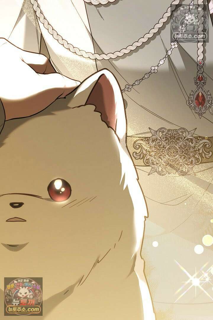 내 반려동물이 악당이 되었을 때 5화 145