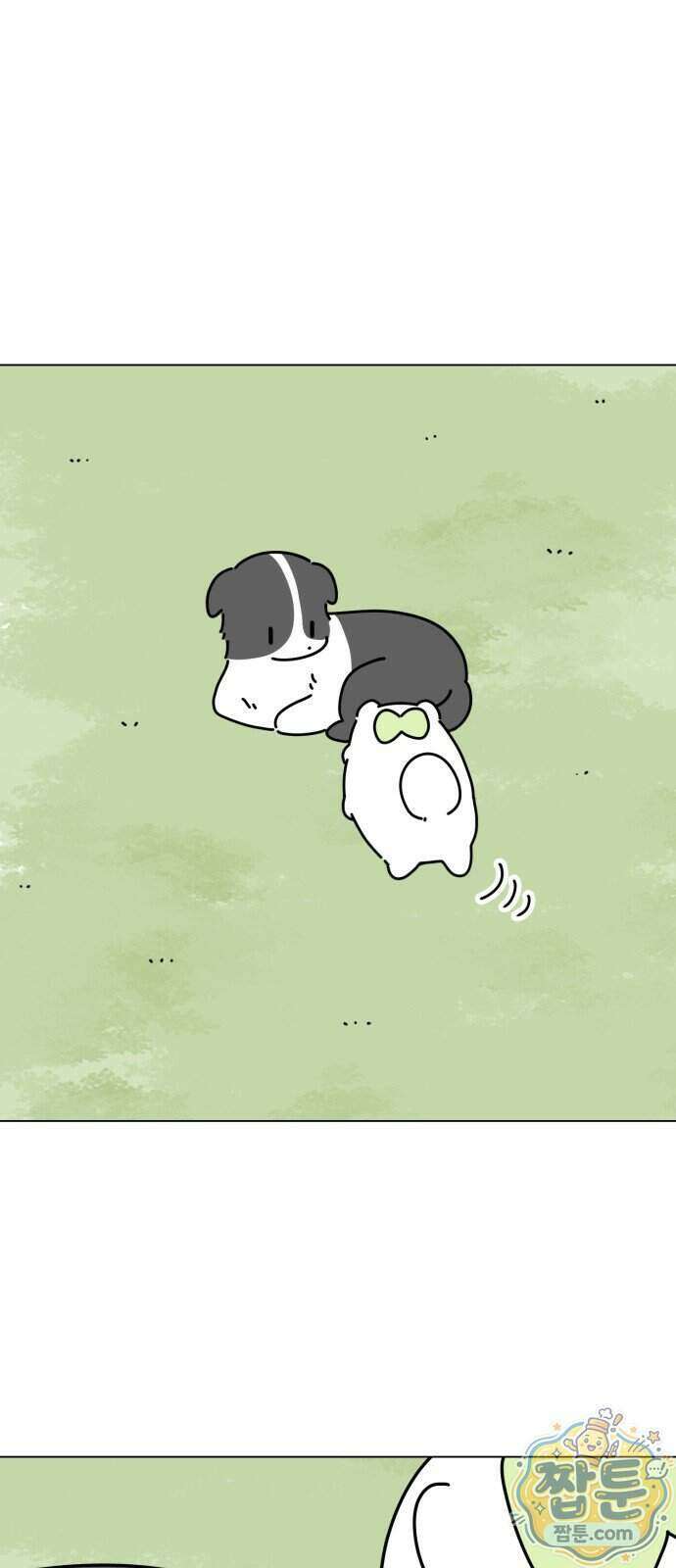 강아지별 27화 8