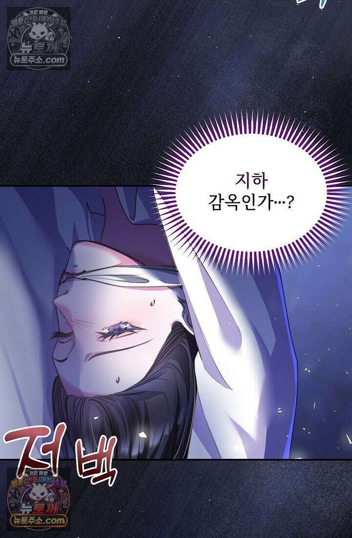 고요한 밤, 대공부인이 사라졌다 018 10