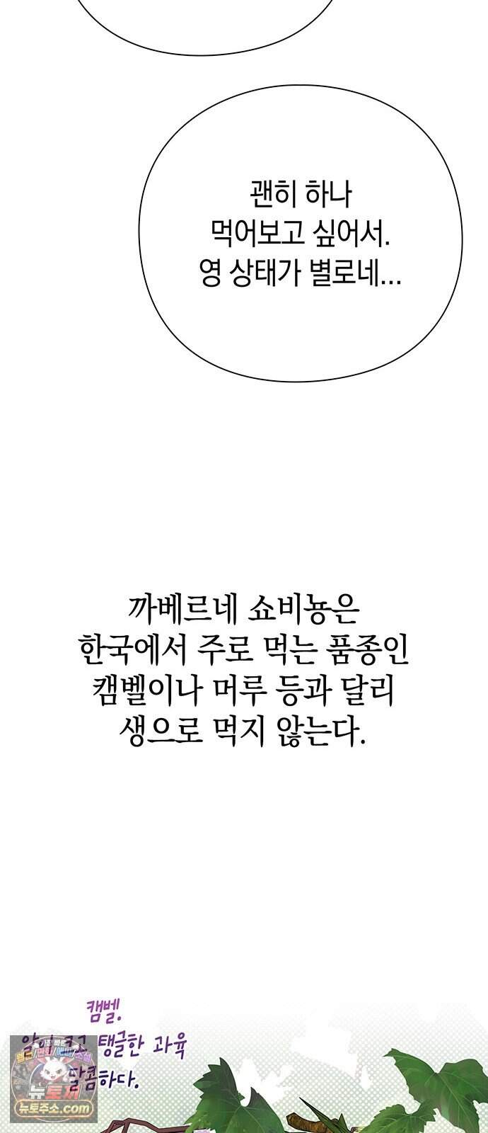 와인의 신 6화 유기농 농법? 64