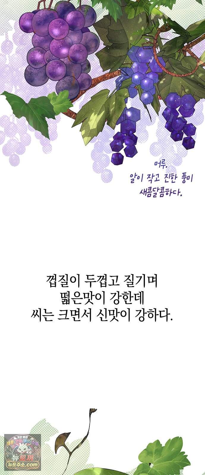 와인의 신 6화 유기농 농법? 65