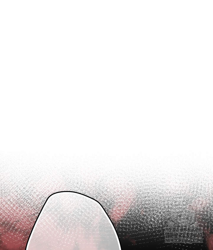 버그 트레인 241화 17