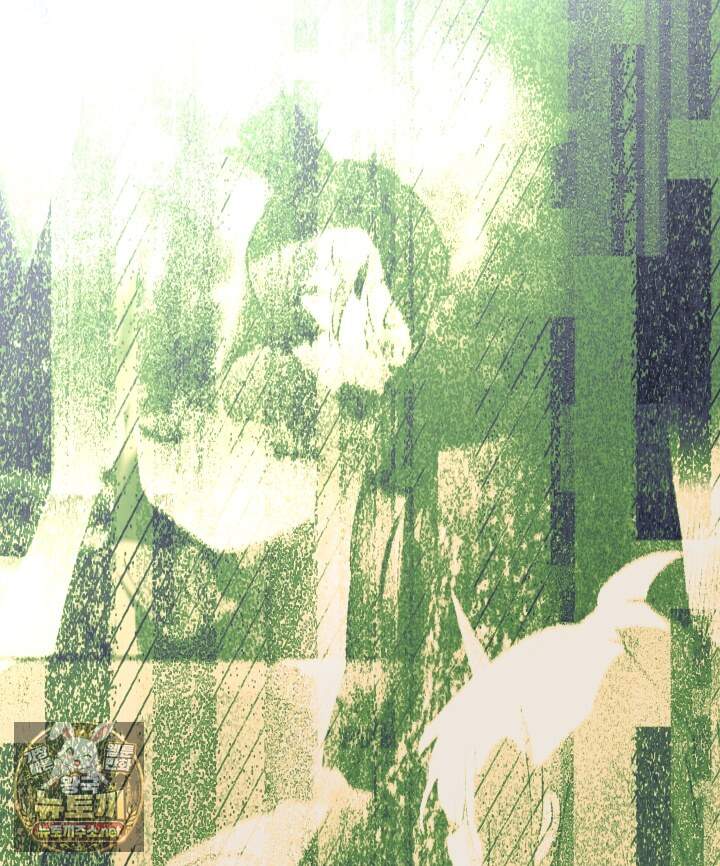 버그 트레인 243화 2