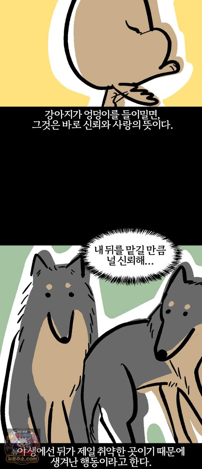 개집사 218화 씰룩 7