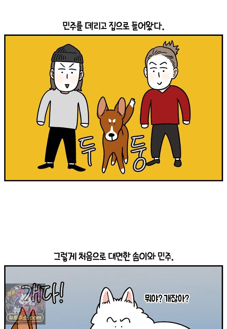 극한견주 시즌2 155화 민주 2