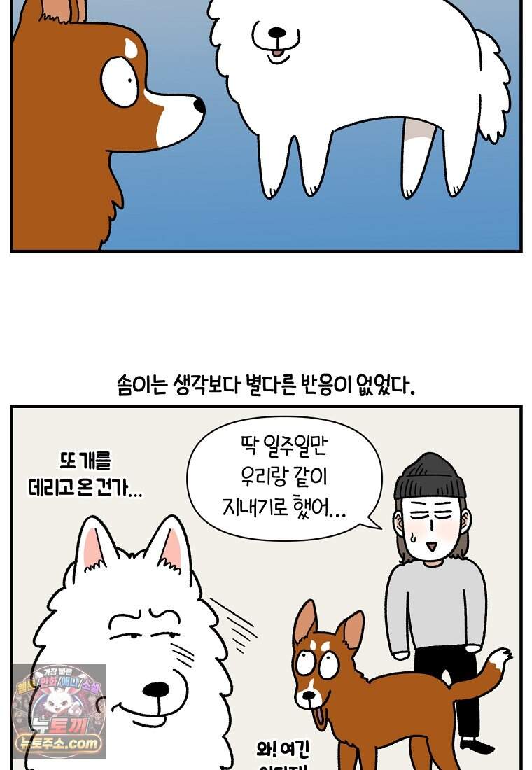 극한견주 시즌2 155화 민주 3