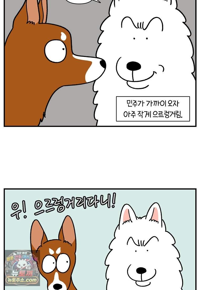 극한견주 시즌2 155화 민주 6