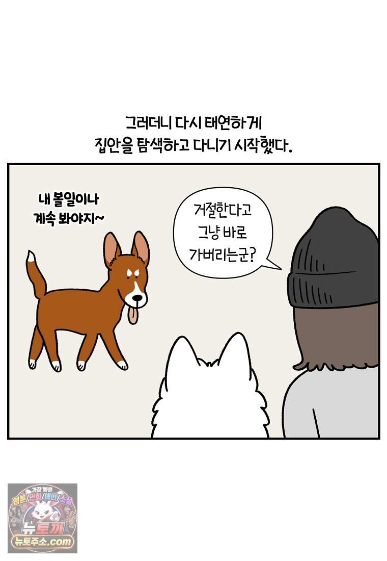 극한견주 시즌2 155화 민주 8
