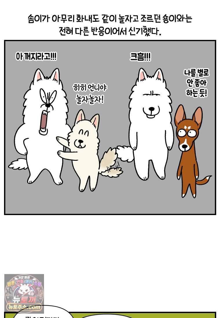 극한견주 시즌2 155화 민주 9