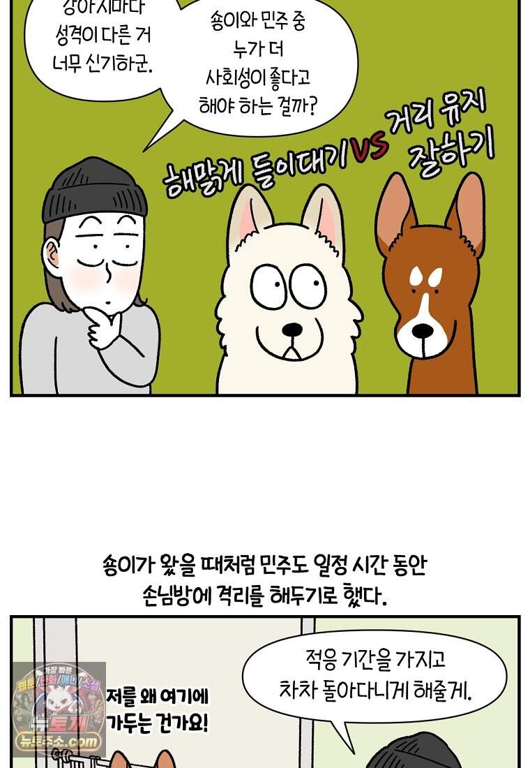 극한견주 시즌2 155화 민주 10