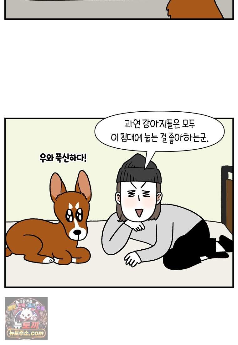 극한견주 시즌2 155화 민주 12