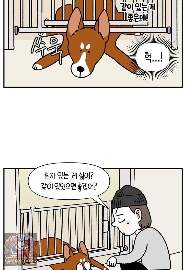 극한견주 시즌2 155화 민주 15
