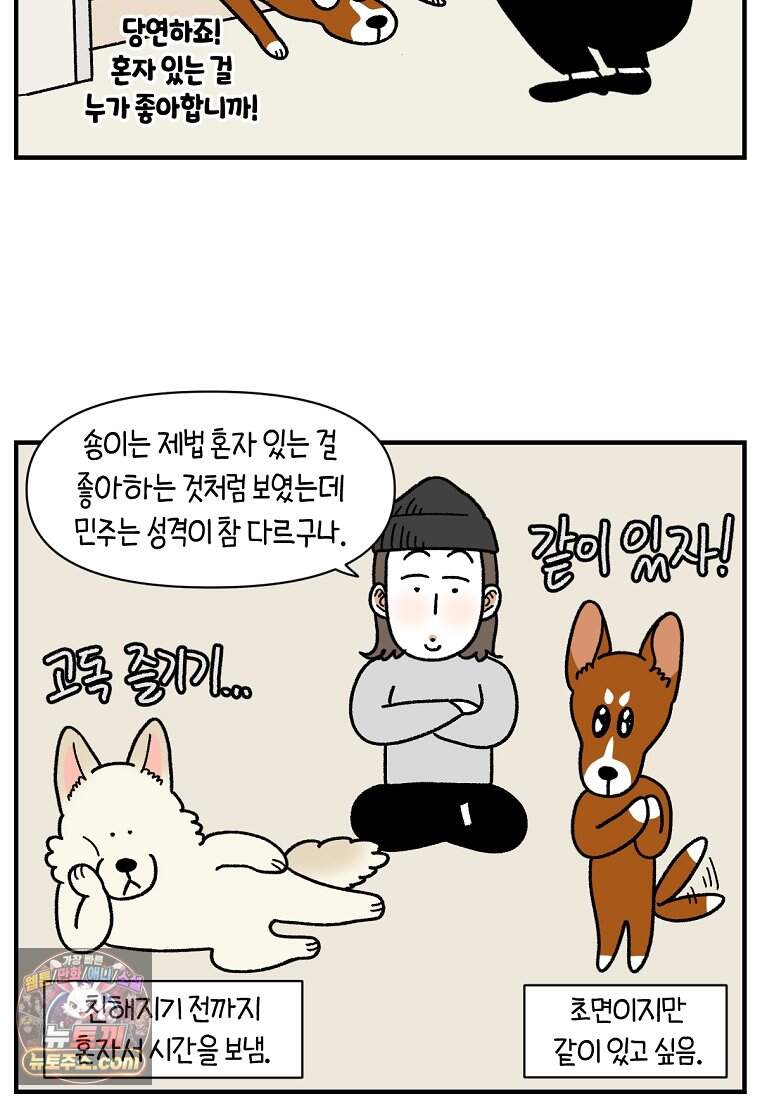 극한견주 시즌2 155화 민주 16