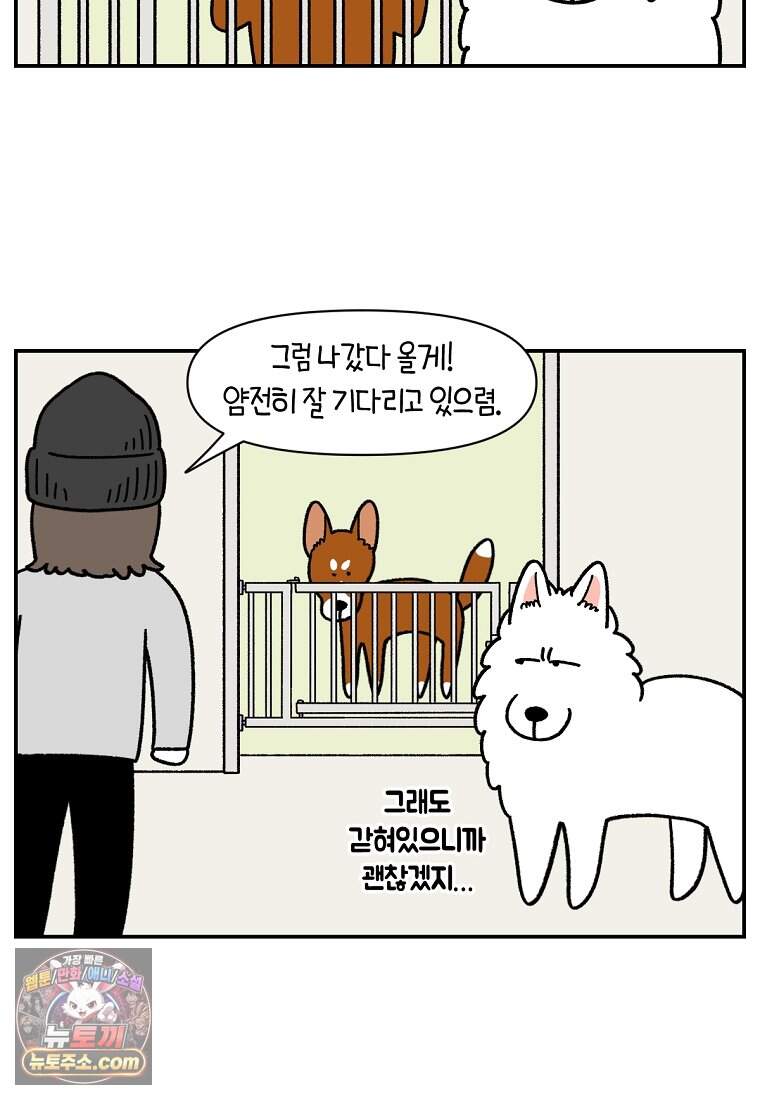 극한견주 시즌2 155화 민주 21