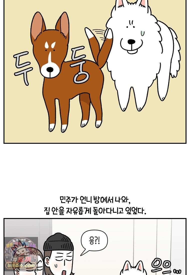 극한견주 시즌2 155화 민주 23