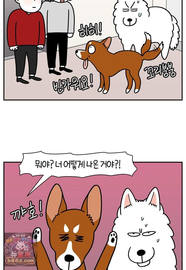 극한견주 시즌2 155화 민주 24
