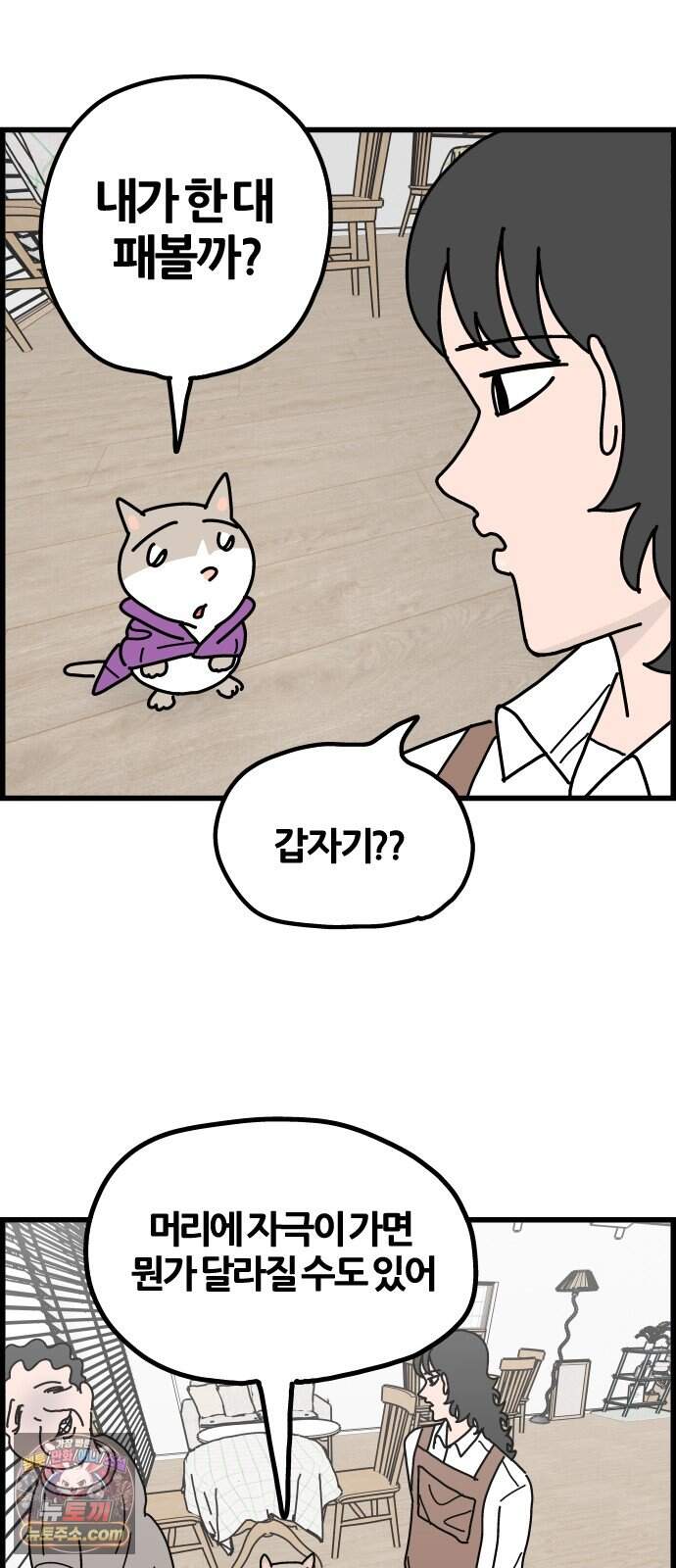 사회초년캣 31화 신입 2