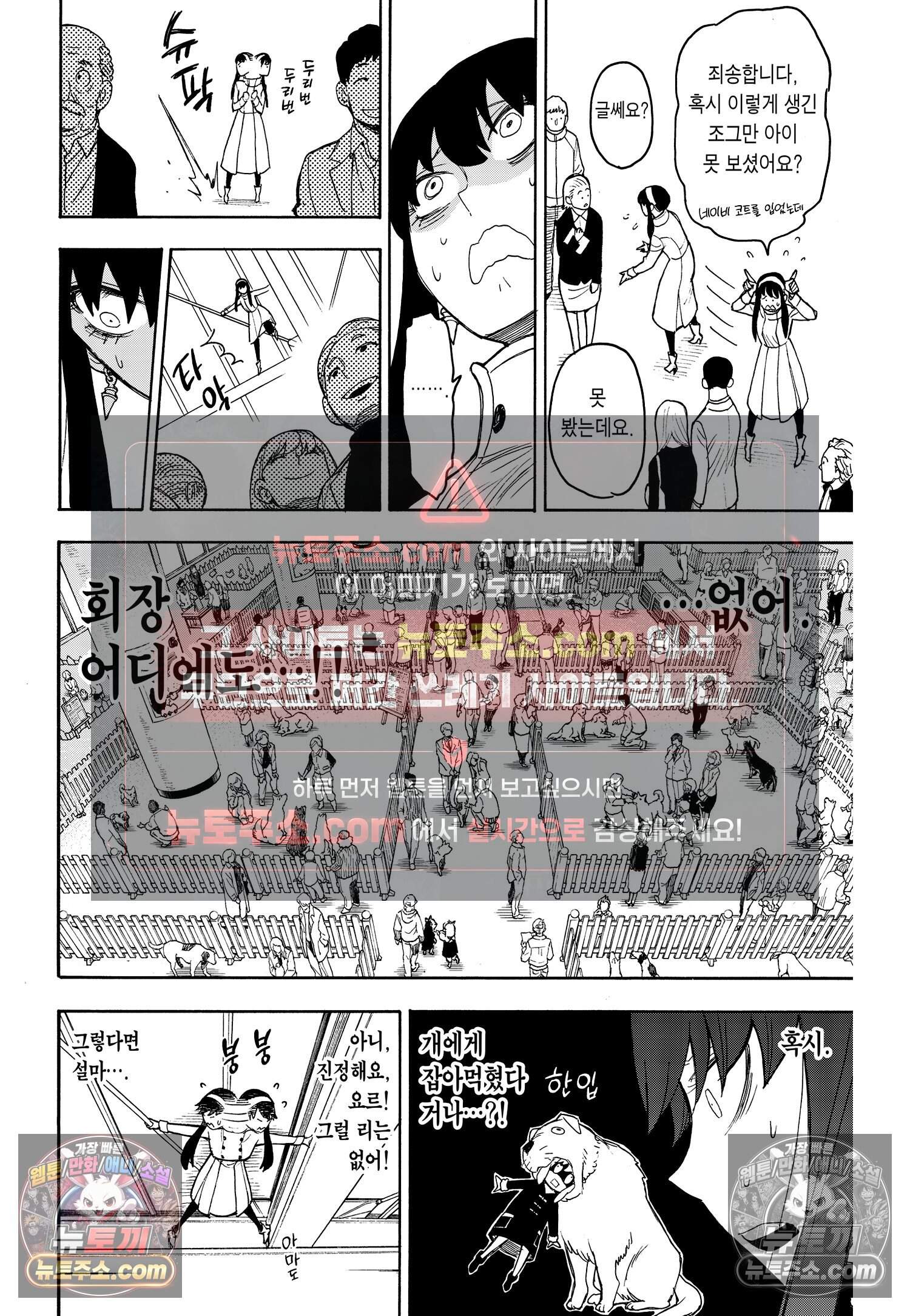 스파이 패밀리 MISSION : 19 5