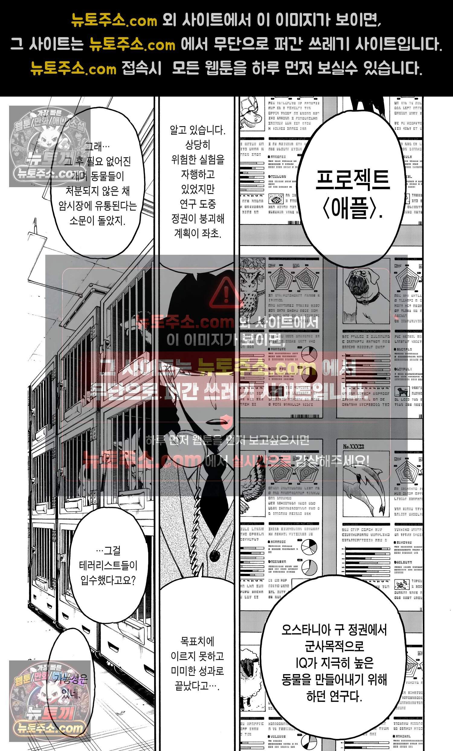 스파이 패밀리 MISSION : 19 8