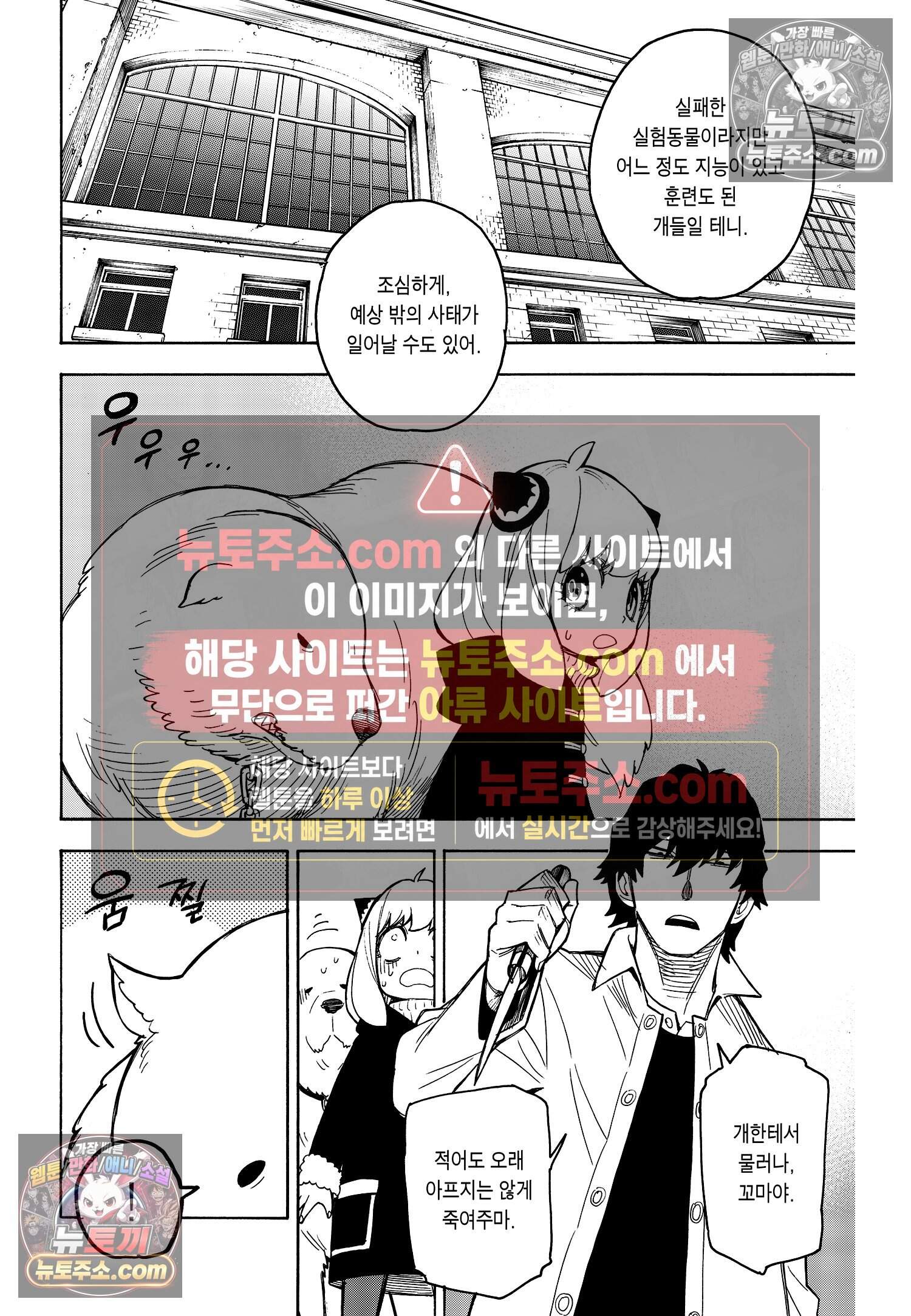 스파이 패밀리 MISSION : 19 9