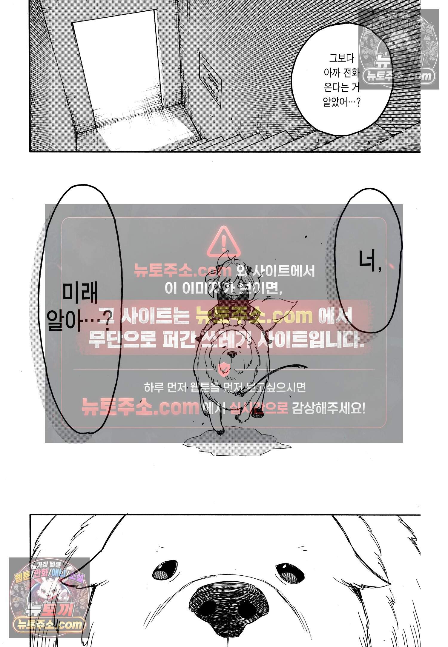 스파이 패밀리 MISSION : 19 13