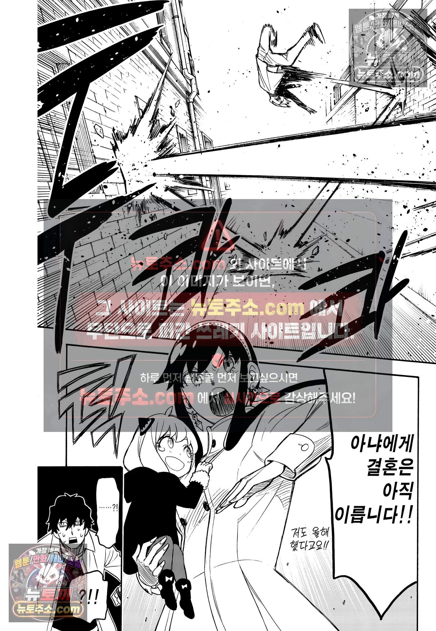 스파이 패밀리 MISSION : 19 22