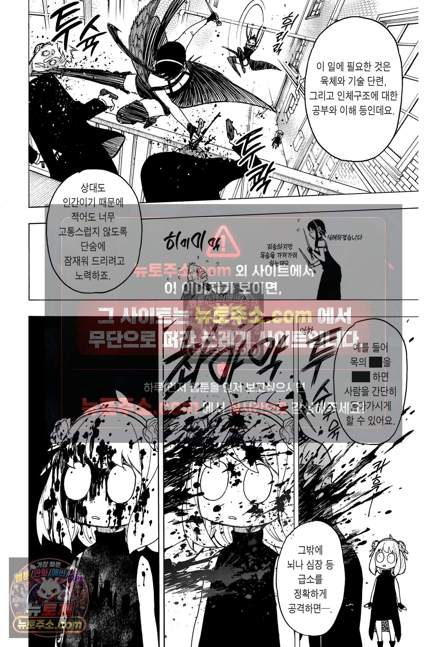 스파이 패밀리 MISSION : 29 5