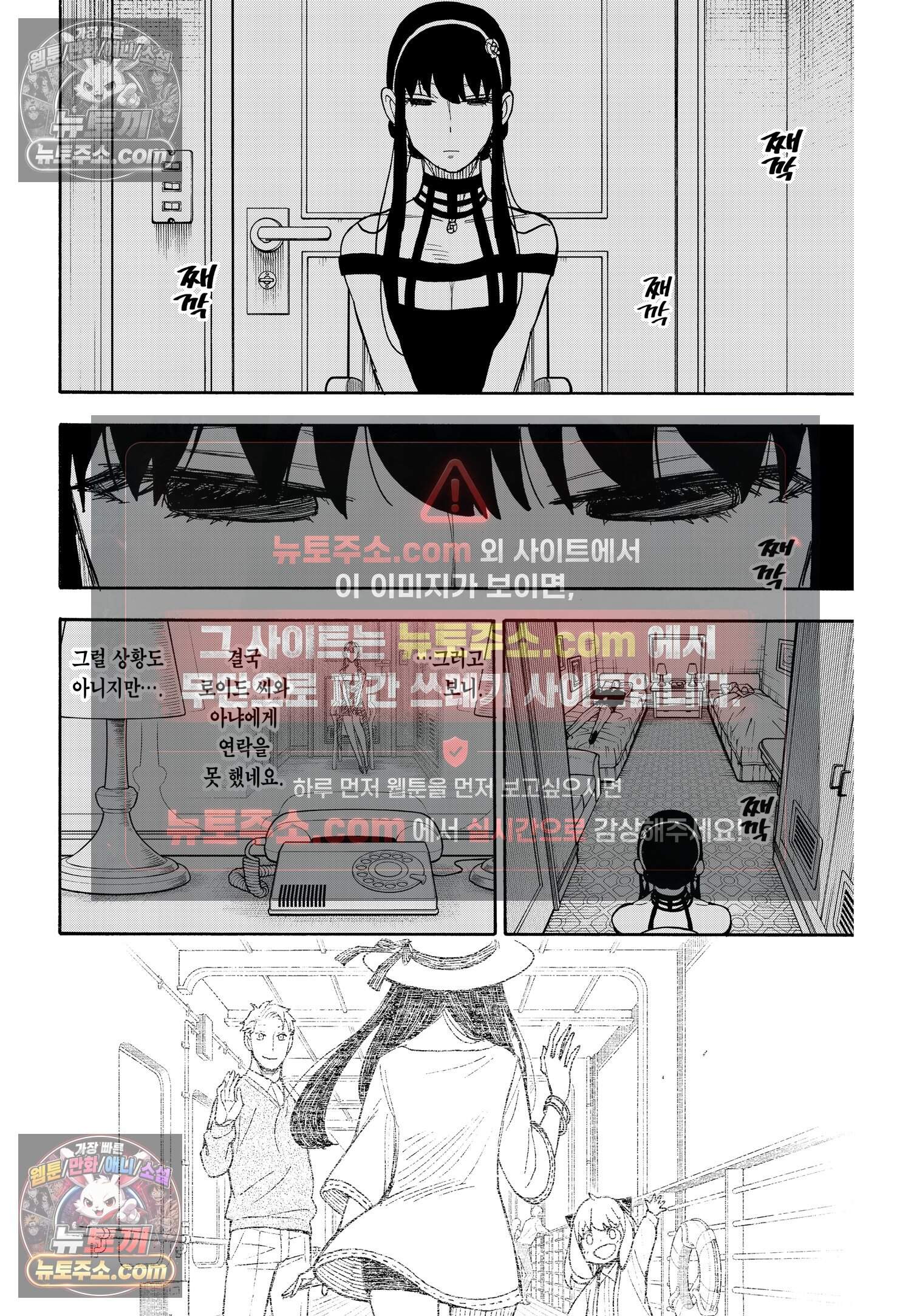 스파이 패밀리 MISSION : 49 17