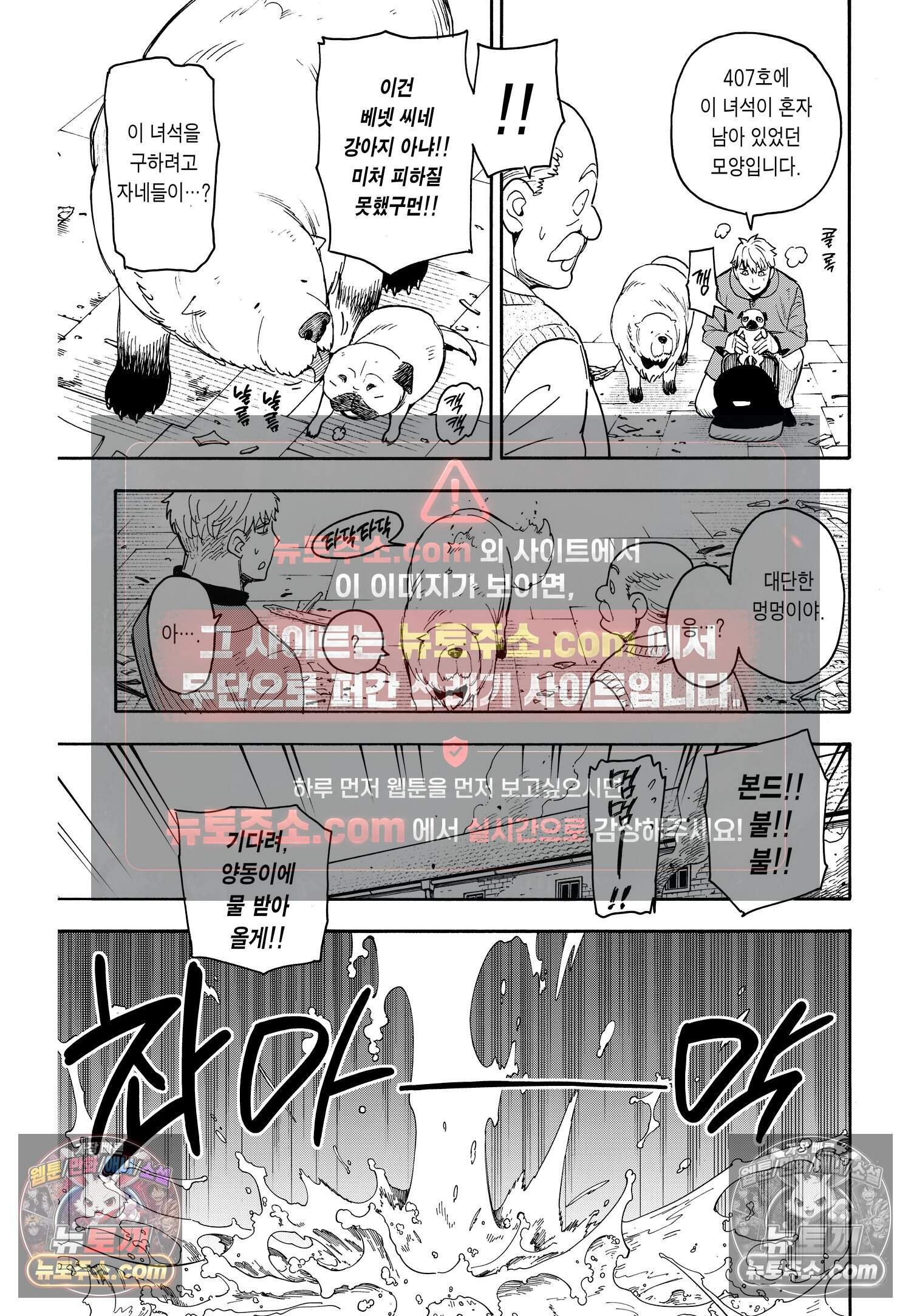 스파이 패밀리 MISSION : 58-2 6