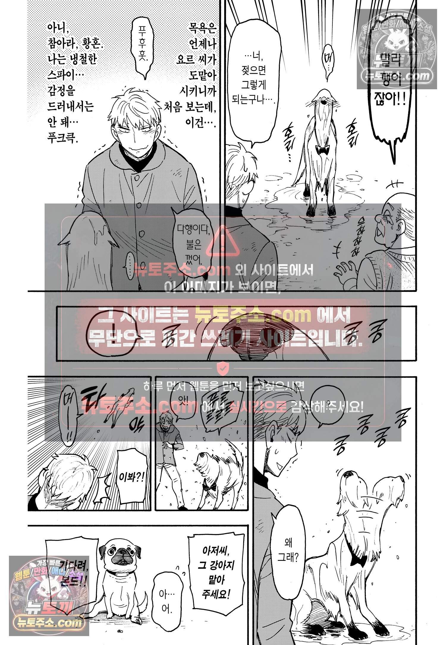 스파이 패밀리 MISSION : 58-2 8