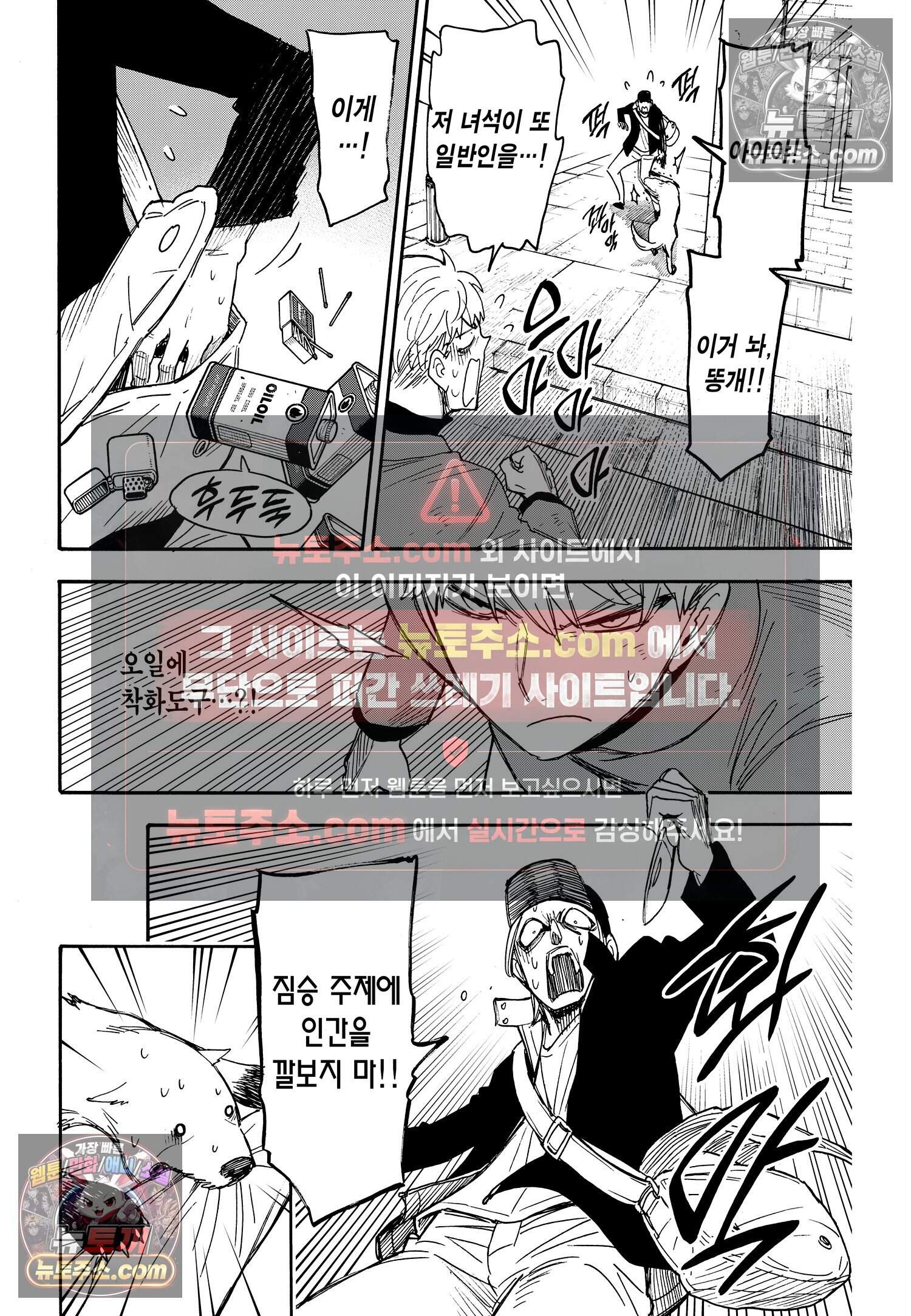스파이 패밀리 MISSION : 58-2 11