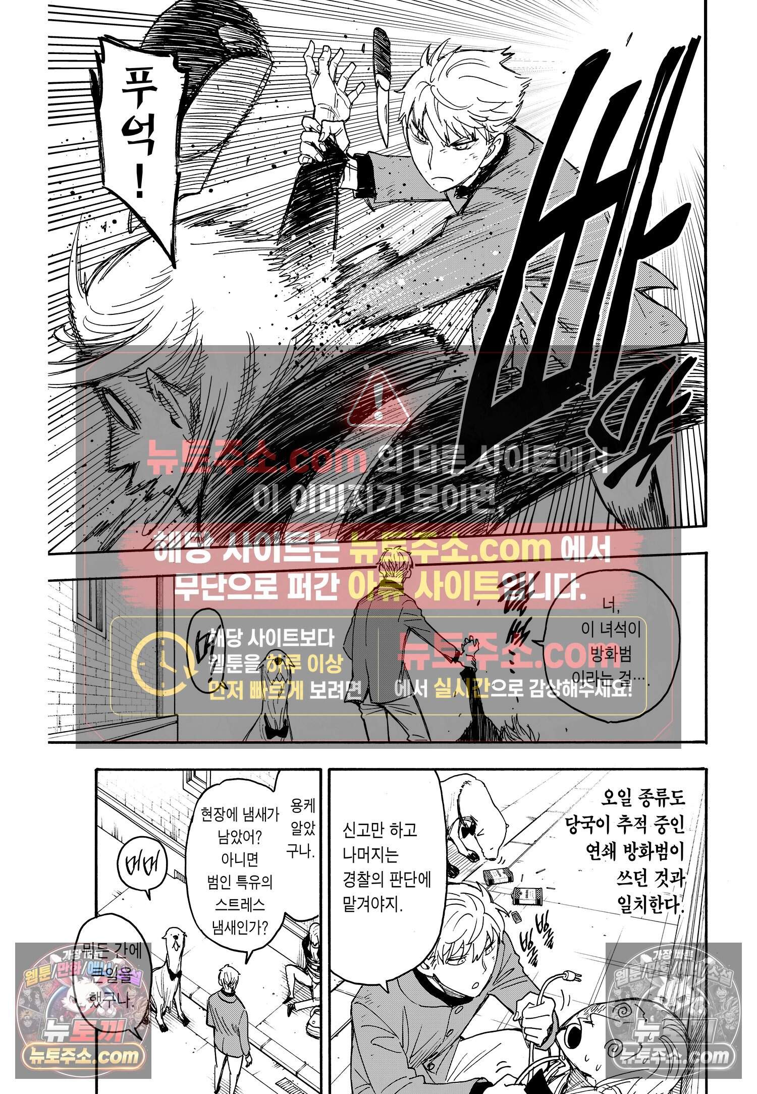 스파이 패밀리 MISSION : 58-2 12