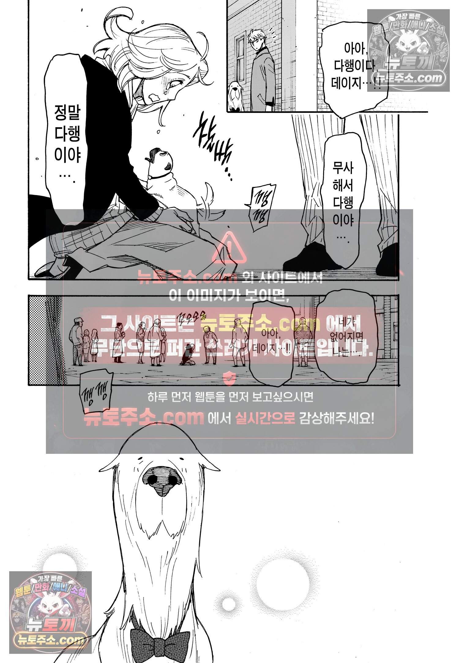 스파이 패밀리 MISSION : 58-2 13