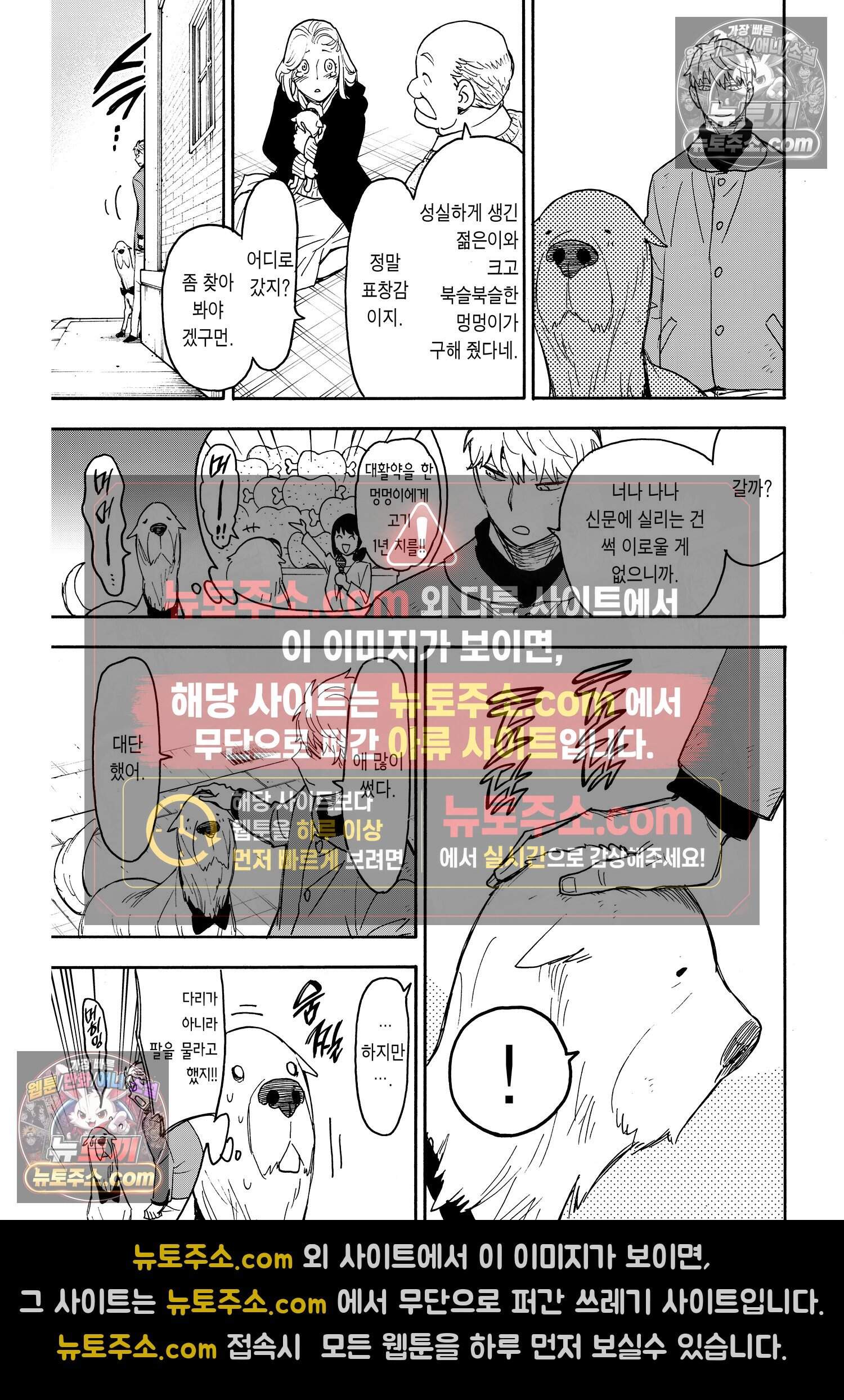 스파이 패밀리 MISSION : 58-2 14
