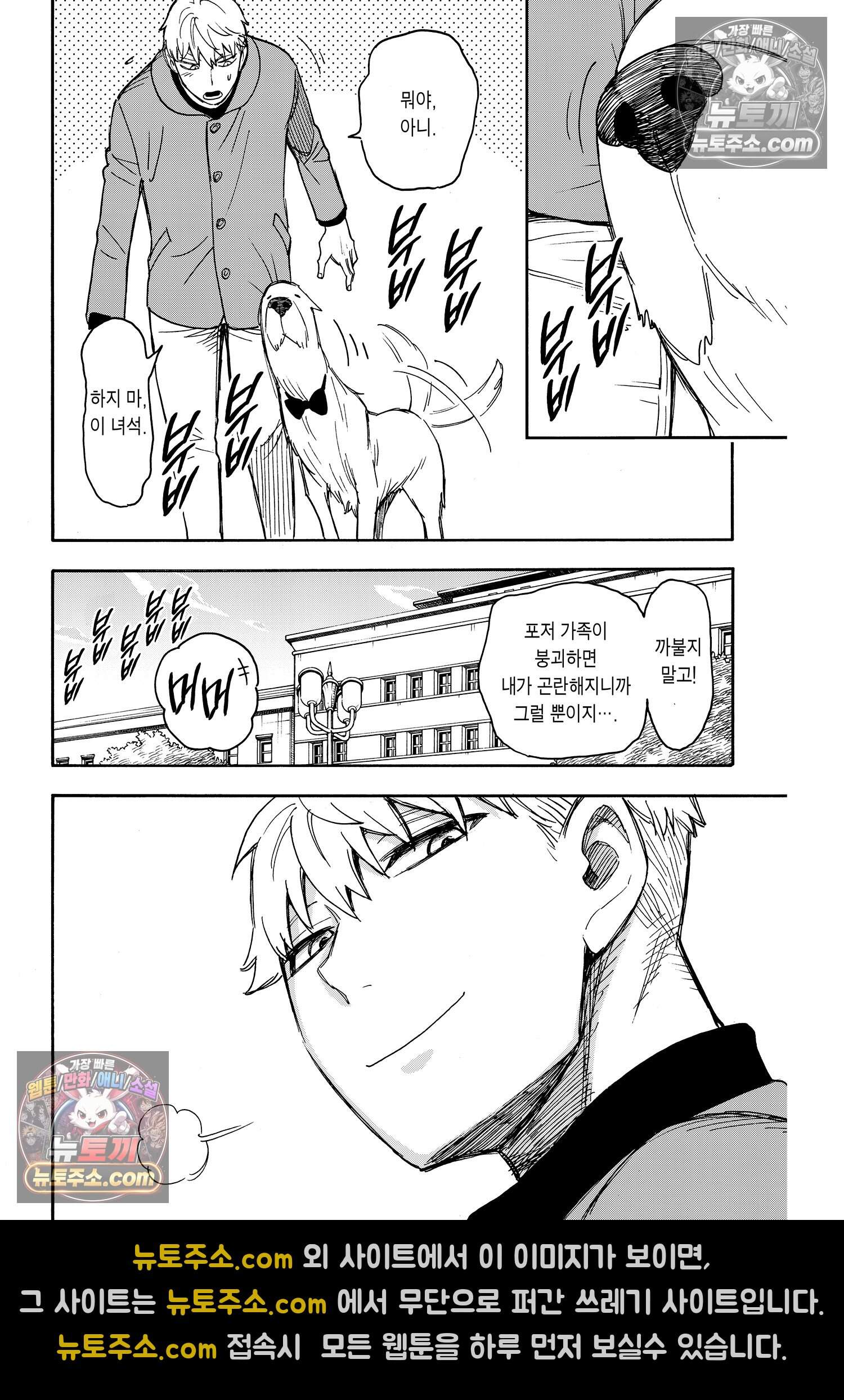 스파이 패밀리 MISSION : 58-2 17