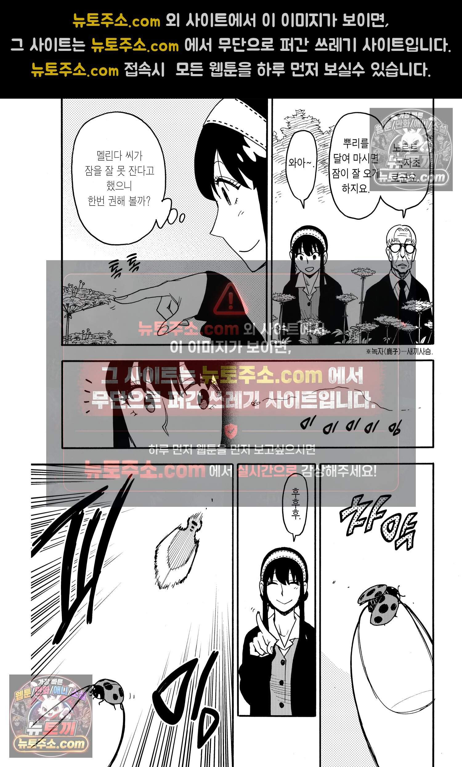 스파이 패밀리 MISSION : 115 10