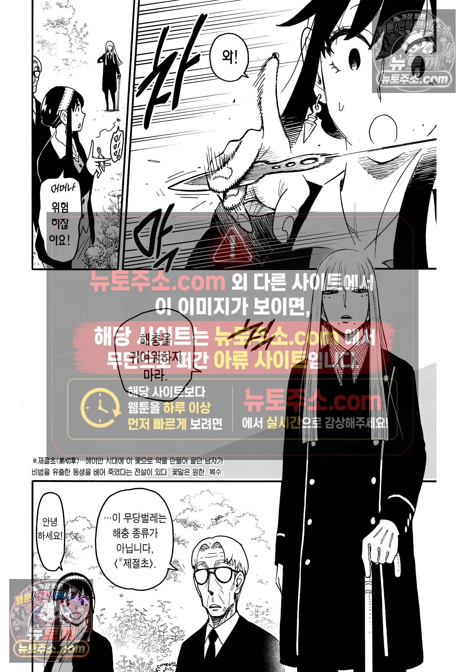 스파이 패밀리 MISSION : 115 11