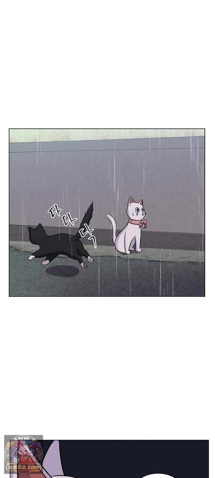 집사가 되어줘 6화 2