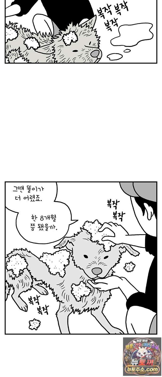 펫로스클럽 49화 7