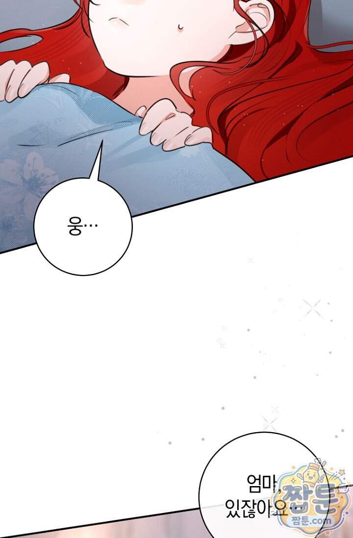 그 대공의 화려한 결혼은 사기 외전 2화 66