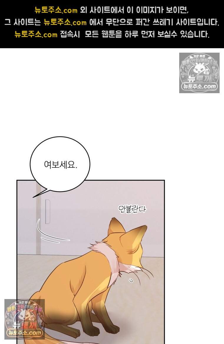 목숨을 다해 꼬셔라 43화 17
