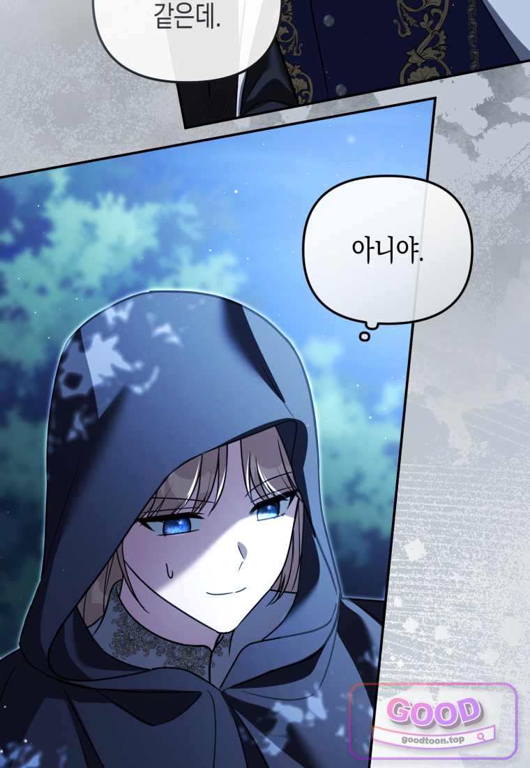 힘을 숨겨도 공녀가 제일 강함 47화 12